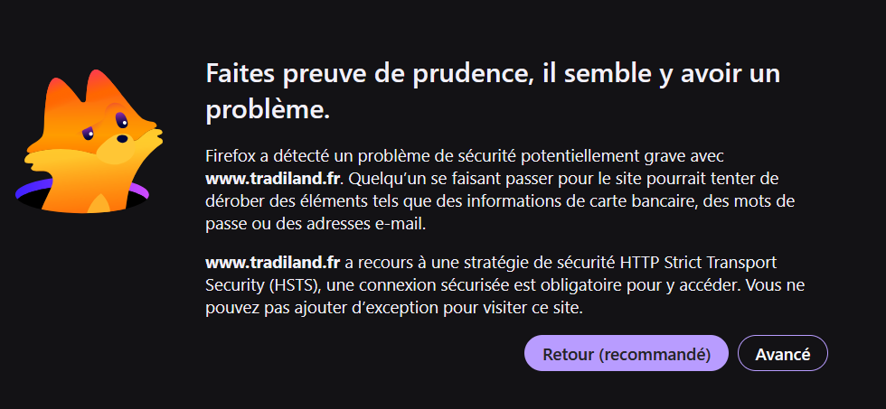 Capture d'écran de Firefox : « Faites preuve de prudence, il semble y avoir un problème »